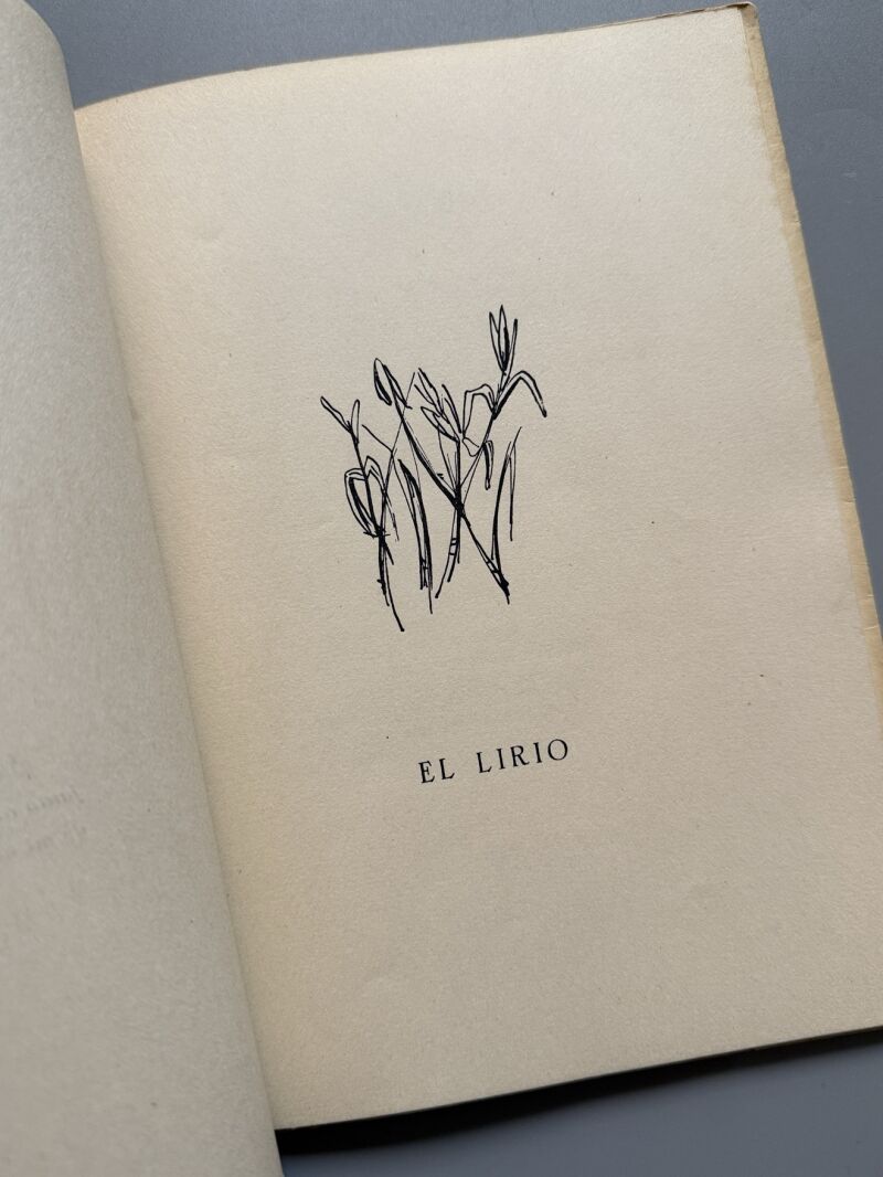 Los brazos en estela, Cristina Lacasa (firmado - primera edición) - Artis Estudios Gráficos, 1958