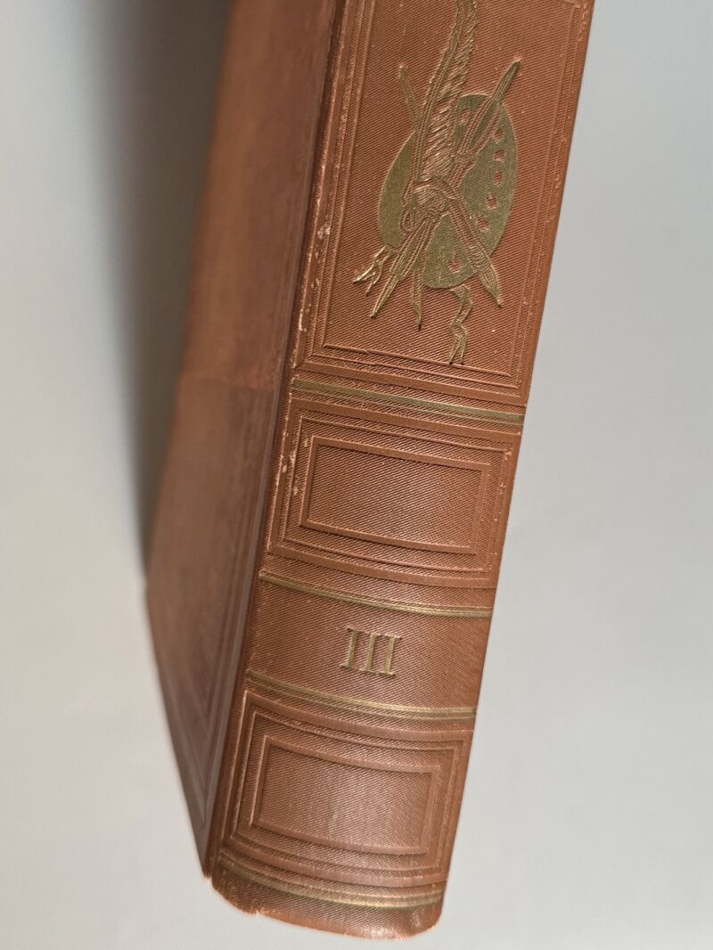 La Baïonnette. 45 números - L'Edition Français Illustrée, 1917-1918