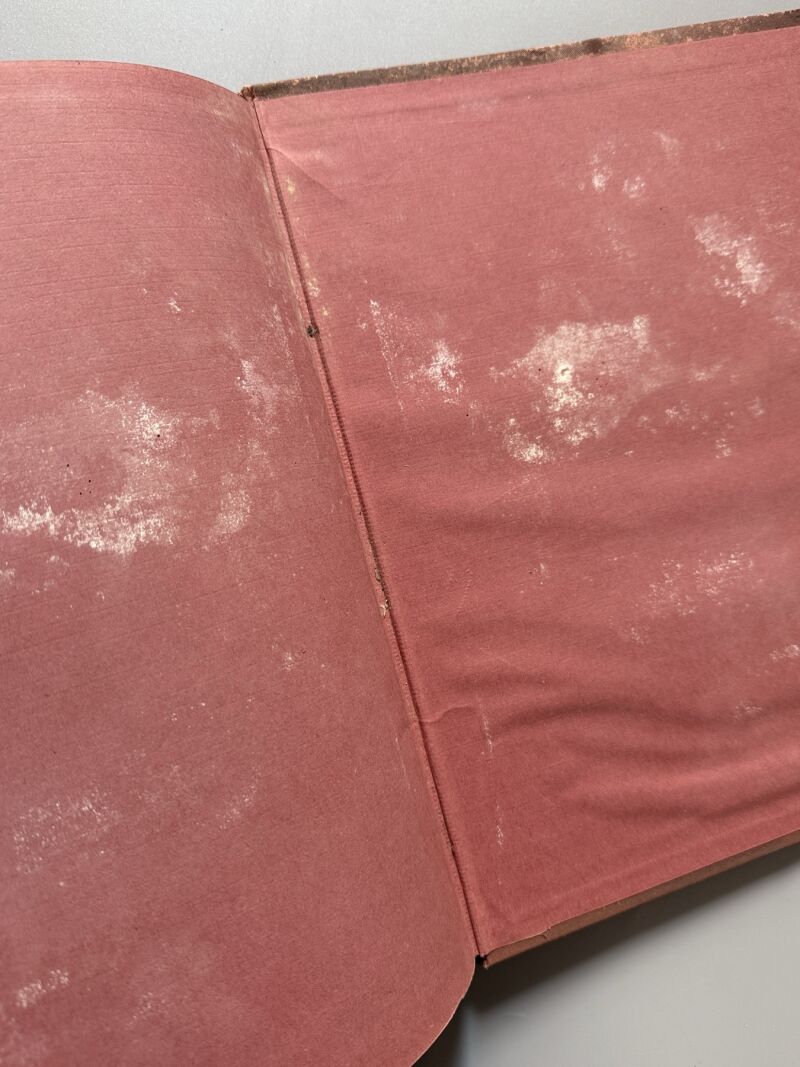 La Baïonnette. 45 números - L'Edition Français Illustrée, 1917-1918