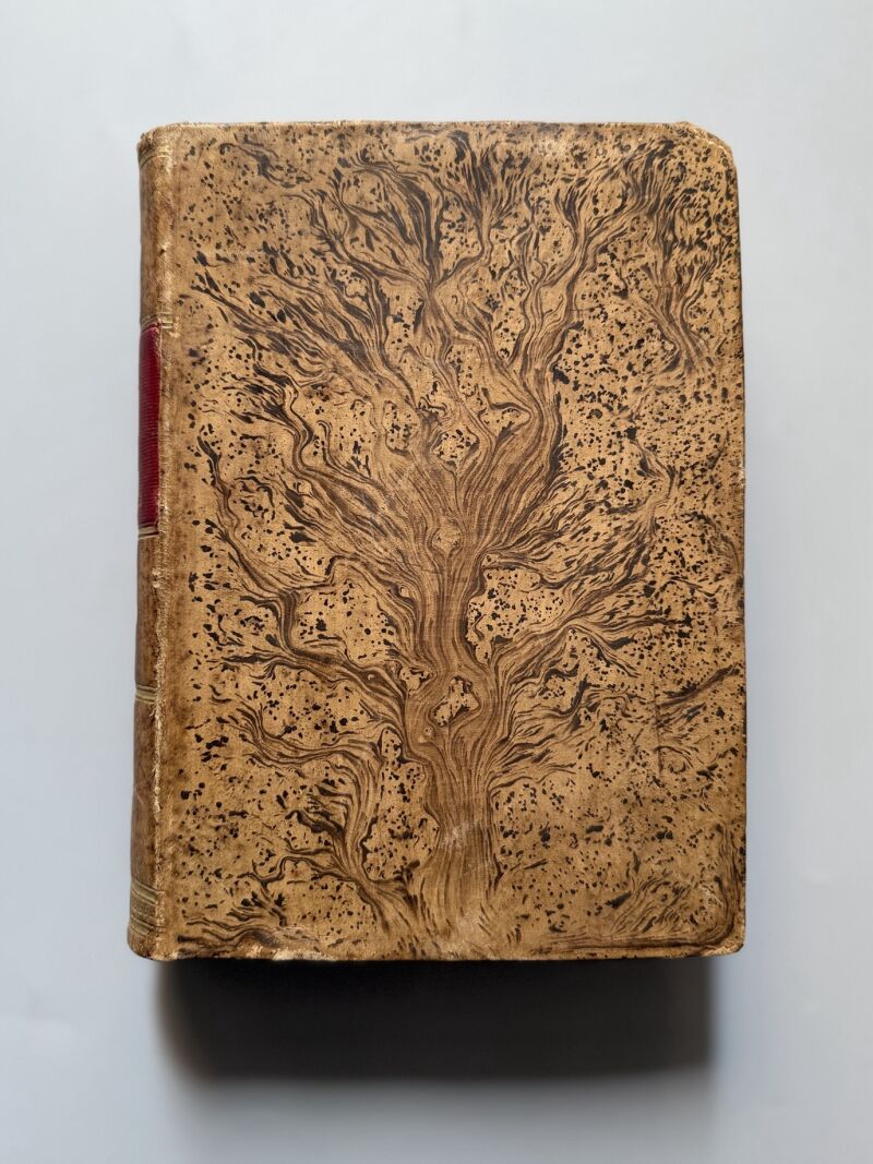 Tratado de sanidad y beneficencia, Fermín Abella - Imprenta de E. de la Riva, 1885