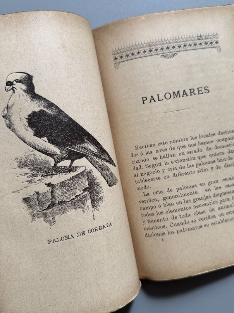 Cría lucrativa de las palomas, Alfonso Nogués - Francisco Sabater Editor, 1899