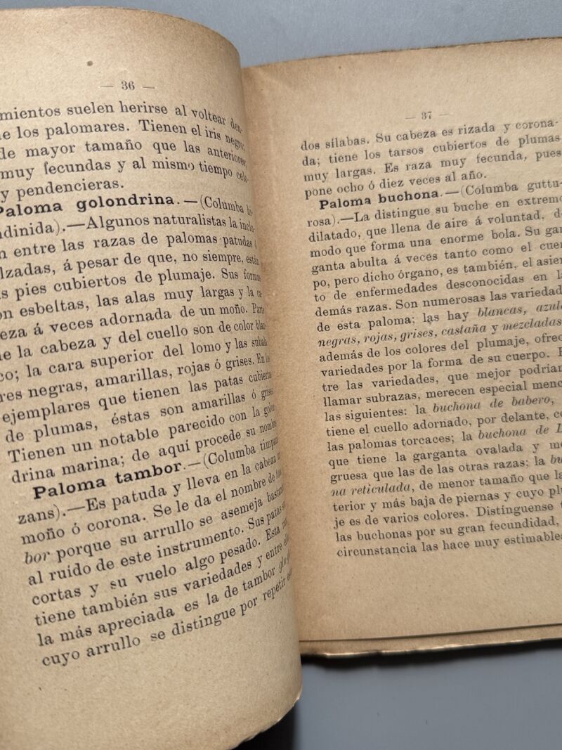 Cría lucrativa de las palomas, Alfonso Nogués - Francisco Sabater Editor, 1899
