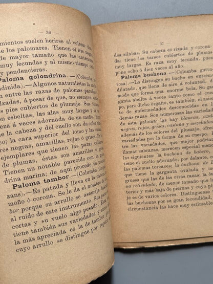 Cría lucrativa de las palomas, Alfonso Nogués - Francisco Sabater Editor, 1899