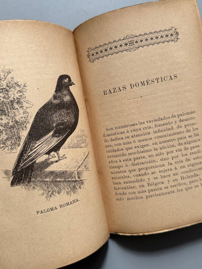 Cría lucrativa de las palomas, Alfonso Nogués - Francisco Sabater Editor, 1899