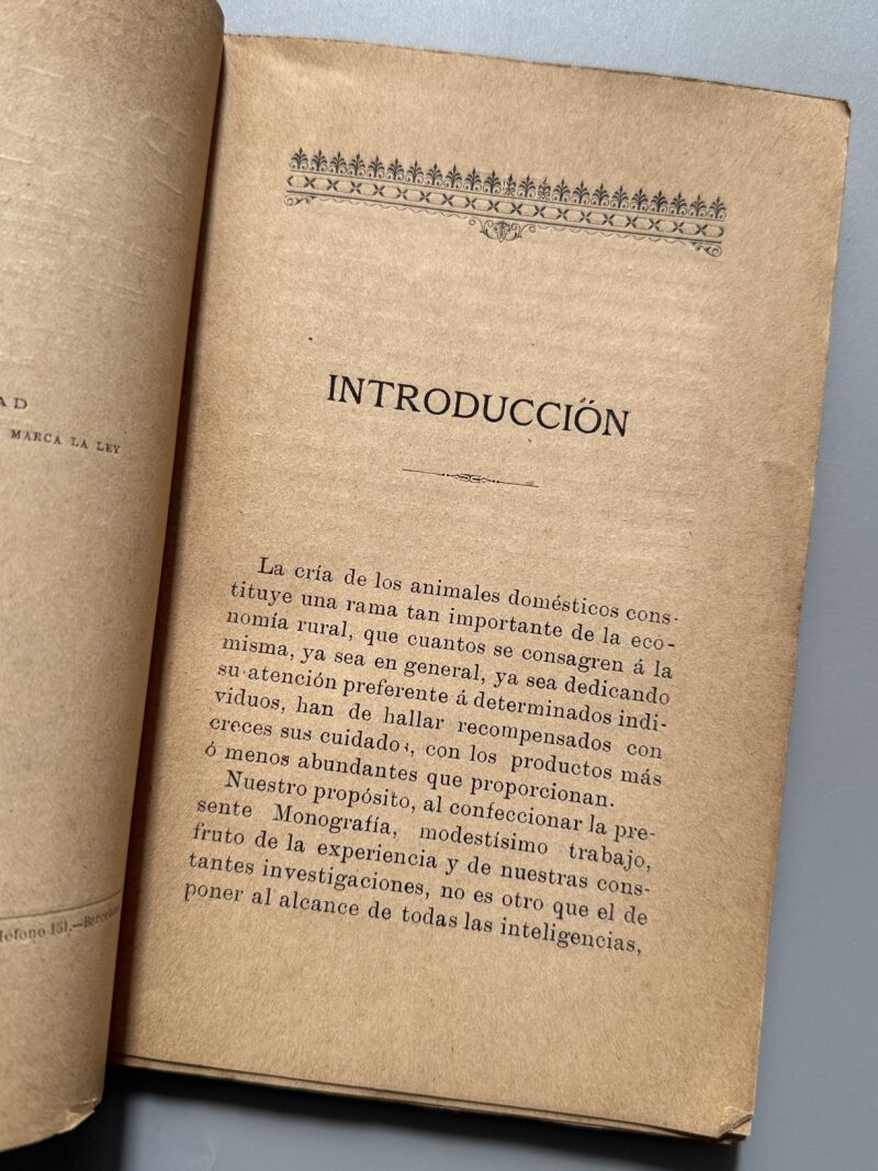 Cría lucrativa de las palomas, Alfonso Nogués - Francisco Sabater Editor, 1899