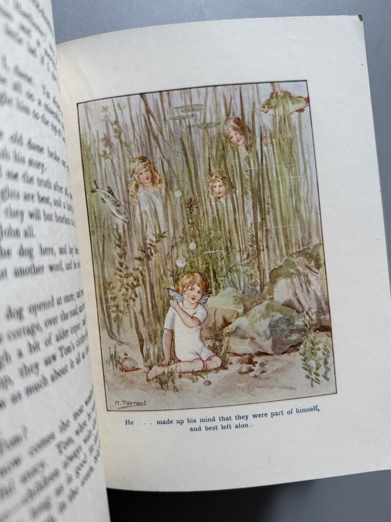 The water-babies. A fairy tale for a land baby, Charles Kingsley - J. M. Dent & Sons, 1927