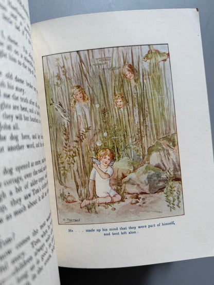 The water-babies. A fairy tale for a land baby, Charles Kingsley - J. M. Dent & Sons, 1927