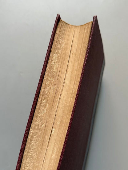 Guía de Madrid, manual del madrileño y del forastero, A. Fernández de los Rios - Madrid, 1876