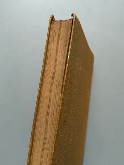 Motores de gas de alcohol y de petróleo, V. Calzavara - Gustavo Gili Editor, 1908