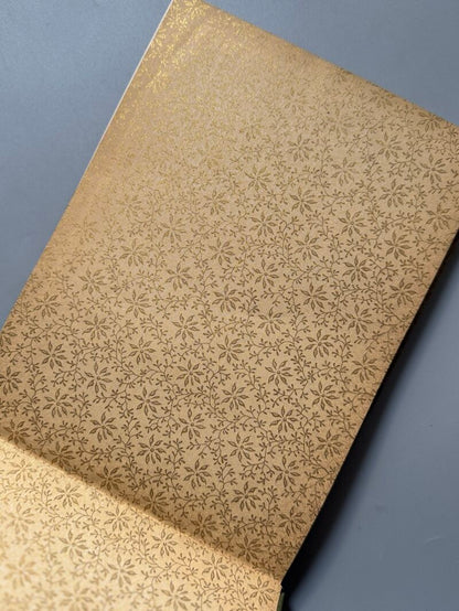 The greater New York Album - Rand, McNally & Company, 1895