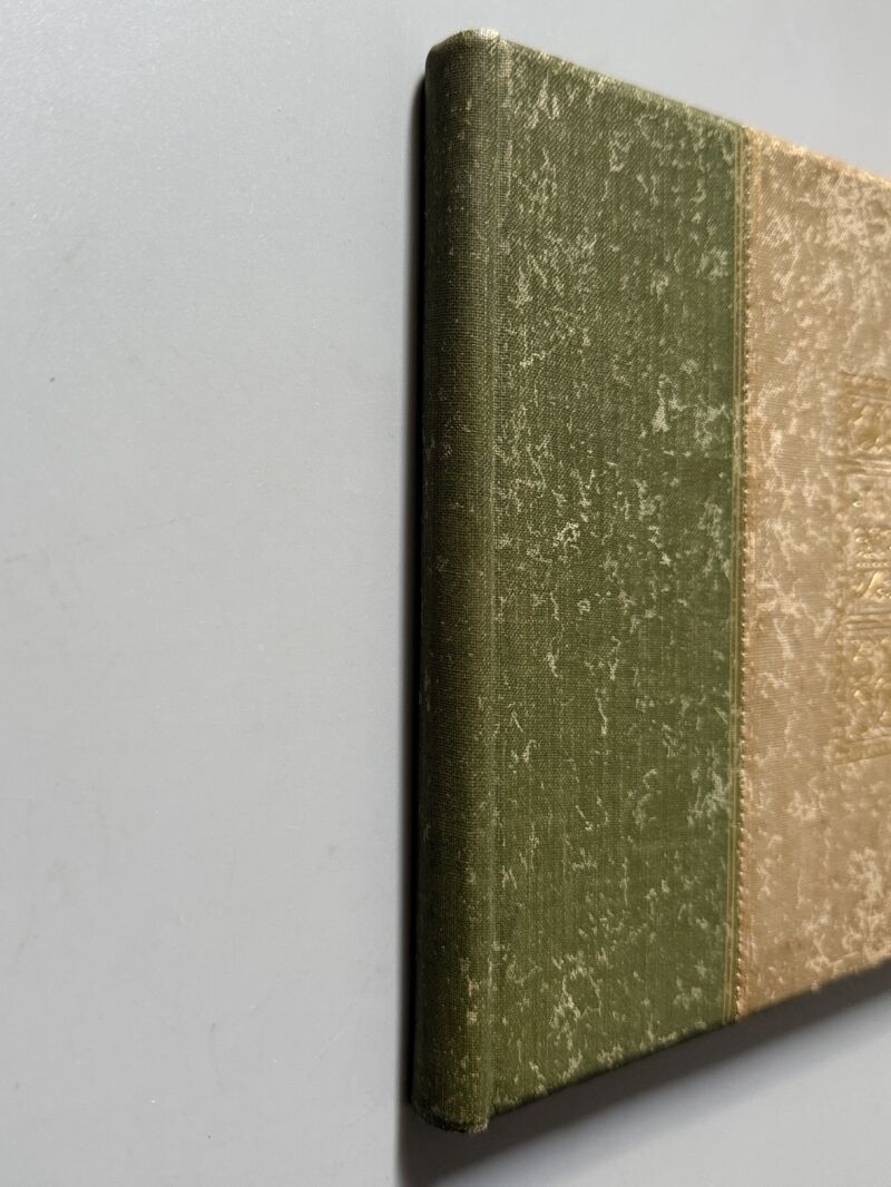 The greater New York Album - Rand, McNally & Company, 1895