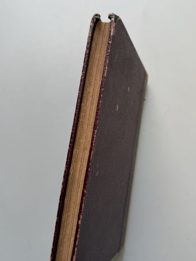 Almanaque de Conferencias Culinarias de Ángel Muro 1892, Ángel Muro - Librería de Fernando Fé, 1891