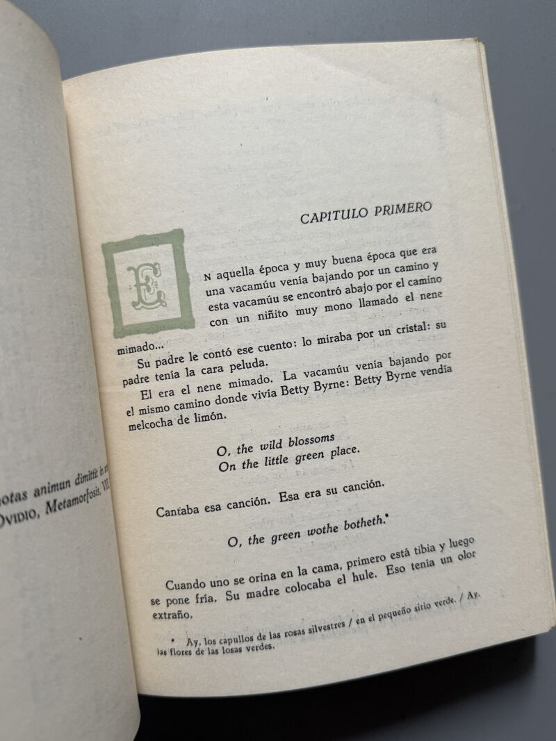 Retrato de un artista adolescente, James Joyce - Editorial Nacional de Cuba, 1964