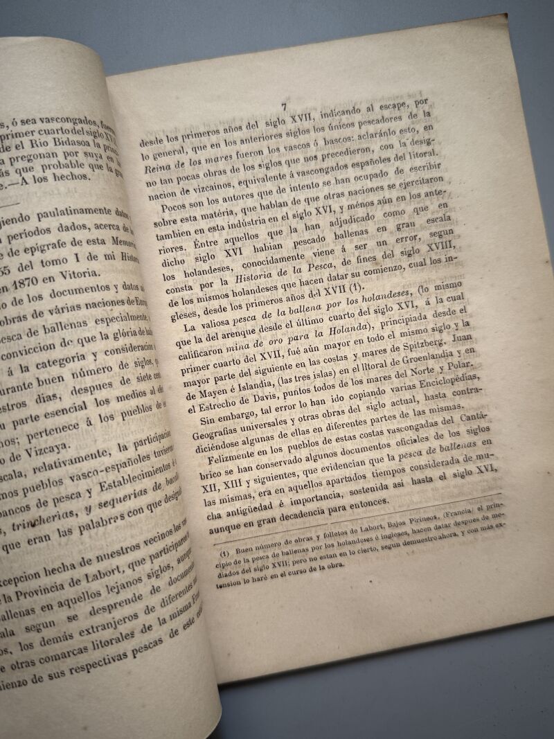 Memoria acerca del orígen de las pescas y pesquerías de ballenas y bacalaos, N. de Soraluce - 1878