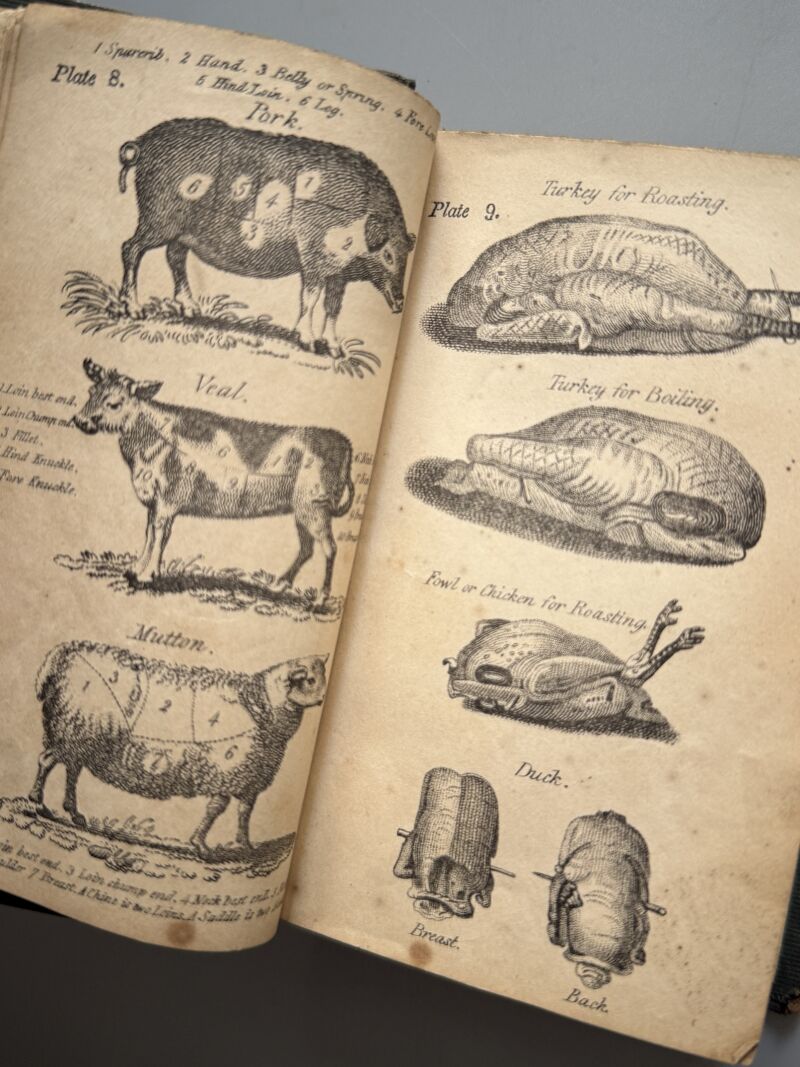 A new system of domestic cookery by a Lady (Mrs. Rundell) - John Johnson, 1849