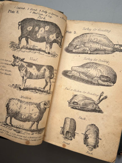 A new system of domestic cookery by a Lady (Mrs. Rundell) - John Johnson, 1849