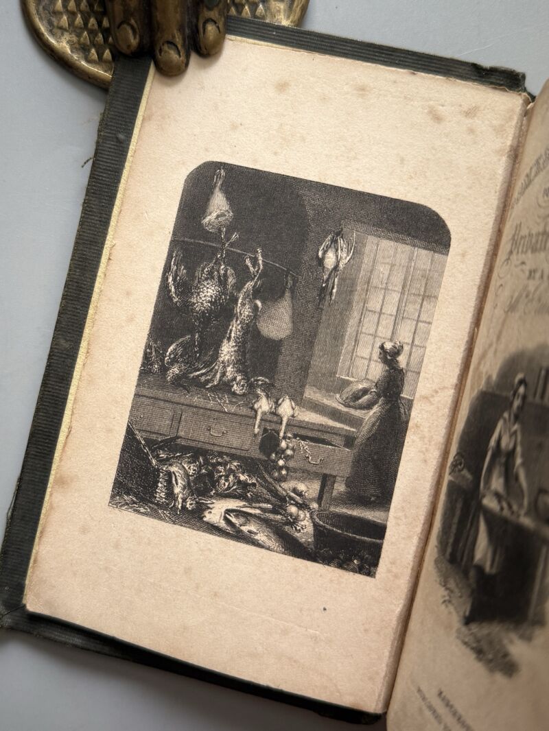 A new system of domestic cookery by a Lady (Mrs. Rundell) - John Johnson, 1849