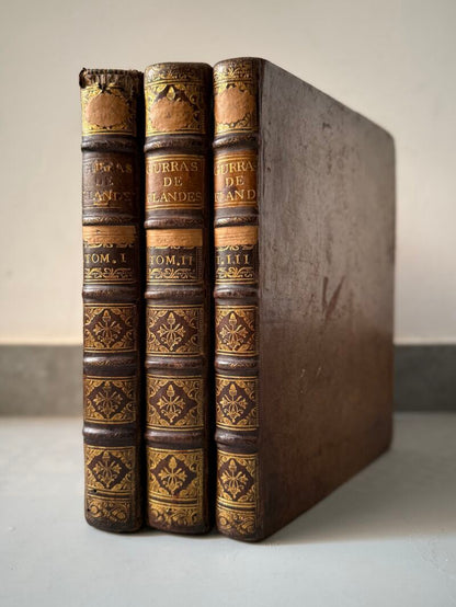 Guerras de Flandes, Alexandro Farnese - Marcos Miguel Bousquet, 1749