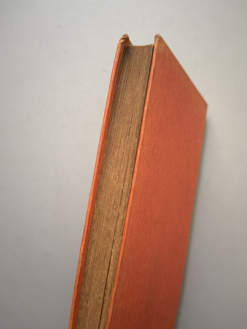 Mi cocinera, la dueña de la casa - Ribó y Marín Editores, 1906