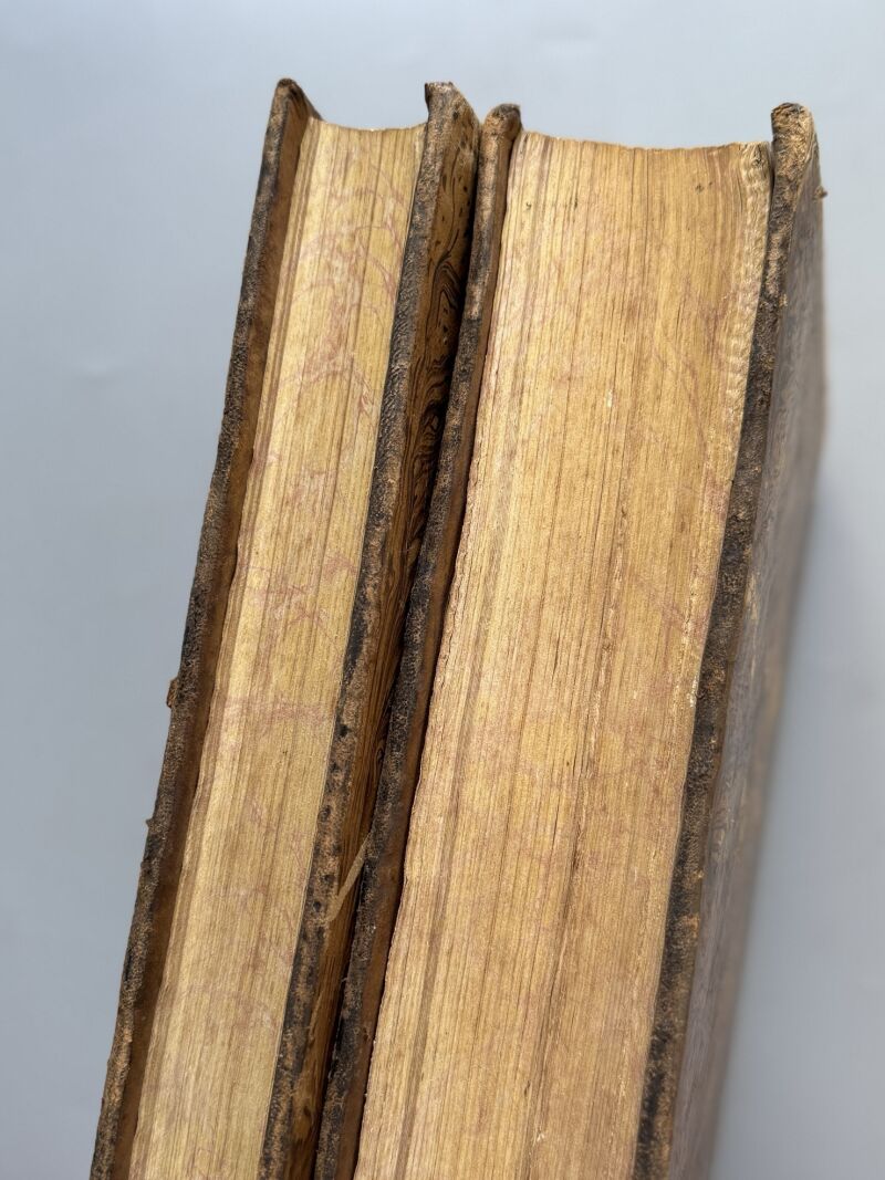 Barcelona Antigua y Moderna, Andrés Avelino Pi y Arimon - Barcelona, 1854