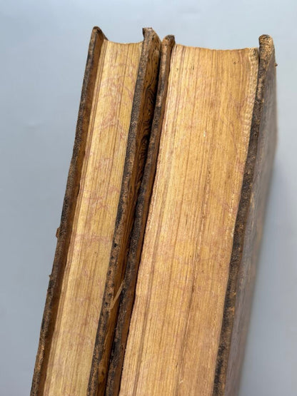 Barcelona Antigua y Moderna, Andrés Avelino Pi y Arimon - Barcelona, 1854