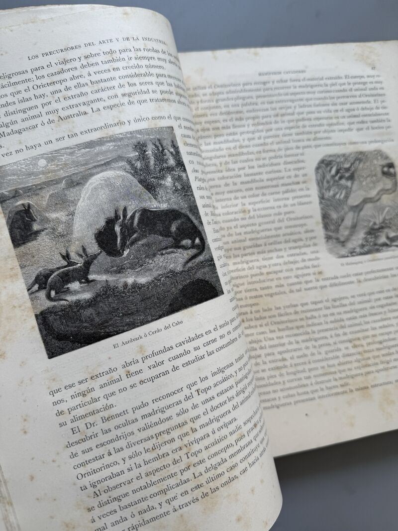 Los precursores del arte y de la industria, J. G. Wood - Montaner y Simón, 1886