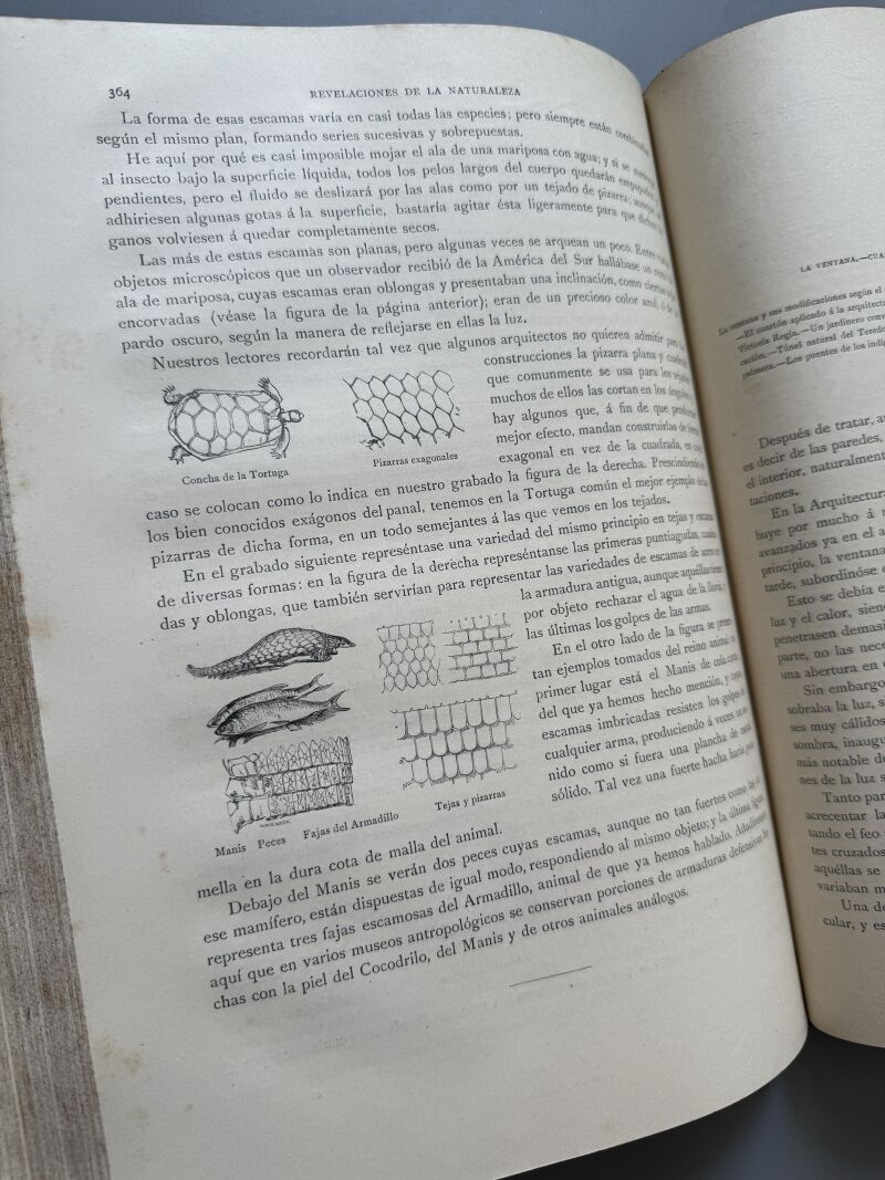 Los precursores del arte y de la industria, J. G. Wood - Montaner y Simón, 1886