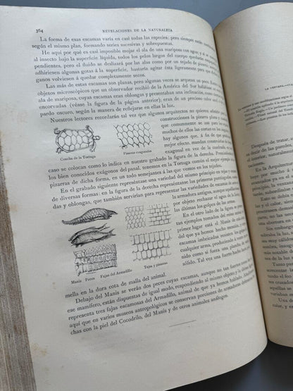 Los precursores del arte y de la industria, J. G. Wood - Montaner y Simón, 1886