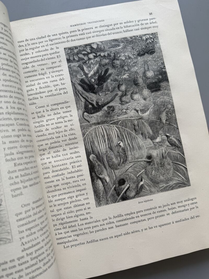 Los precursores del arte y de la industria, J. G. Wood - Montaner y Simón, 1886