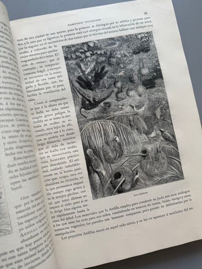 Los precursores del arte y de la industria, J. G. Wood - Montaner y Simón, 1886
