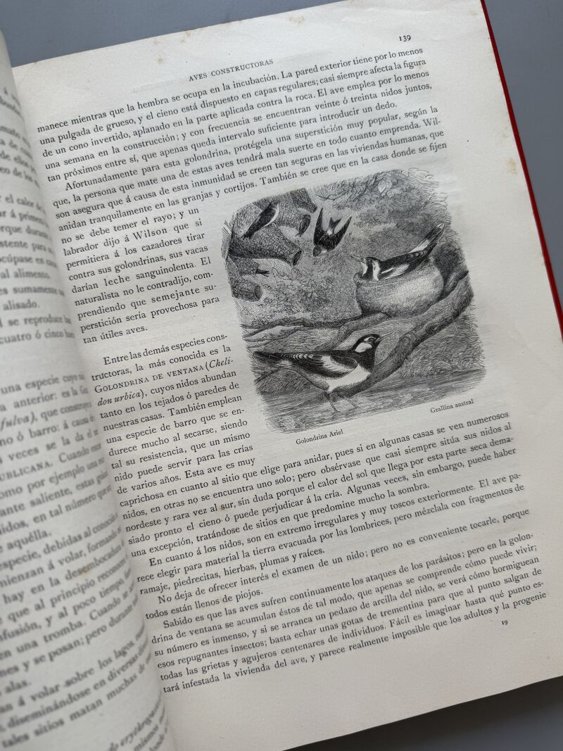 Los precursores del arte y de la industria, J. G. Wood - Montaner y Simón, 1886