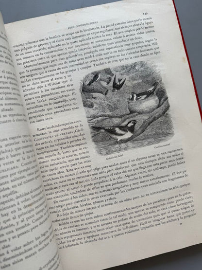 Los precursores del arte y de la industria, J. G. Wood - Montaner y Simón, 1886