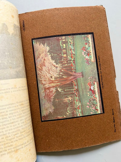 Summa. Revista Selecta Ilustrada. Margarita Nelken - Año II, nº13, 1916