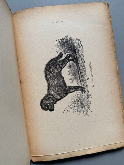 Manual práctico del aficionado a los perros de caza y de lujo, Ramón Pellico - Hijos de Cuesta, 1910