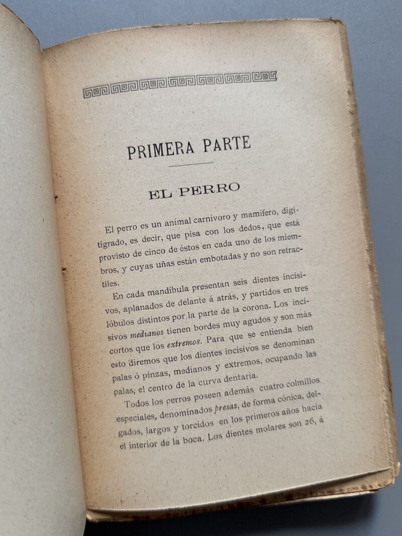 Manual práctico del aficionado a los perros de caza y de lujo, Ramón Pellico - Hijos de Cuesta, 1910