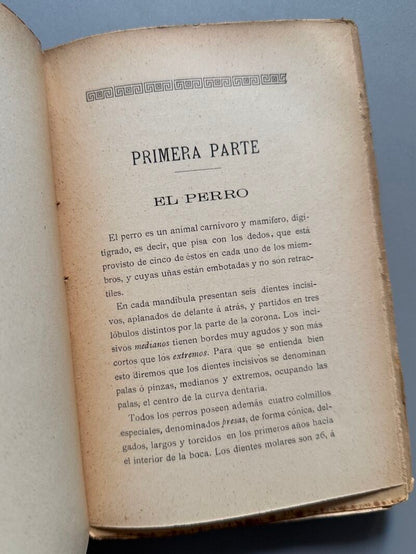 Manual práctico del aficionado a los perros de caza y de lujo, Ramón Pellico - Hijos de Cuesta, 1910