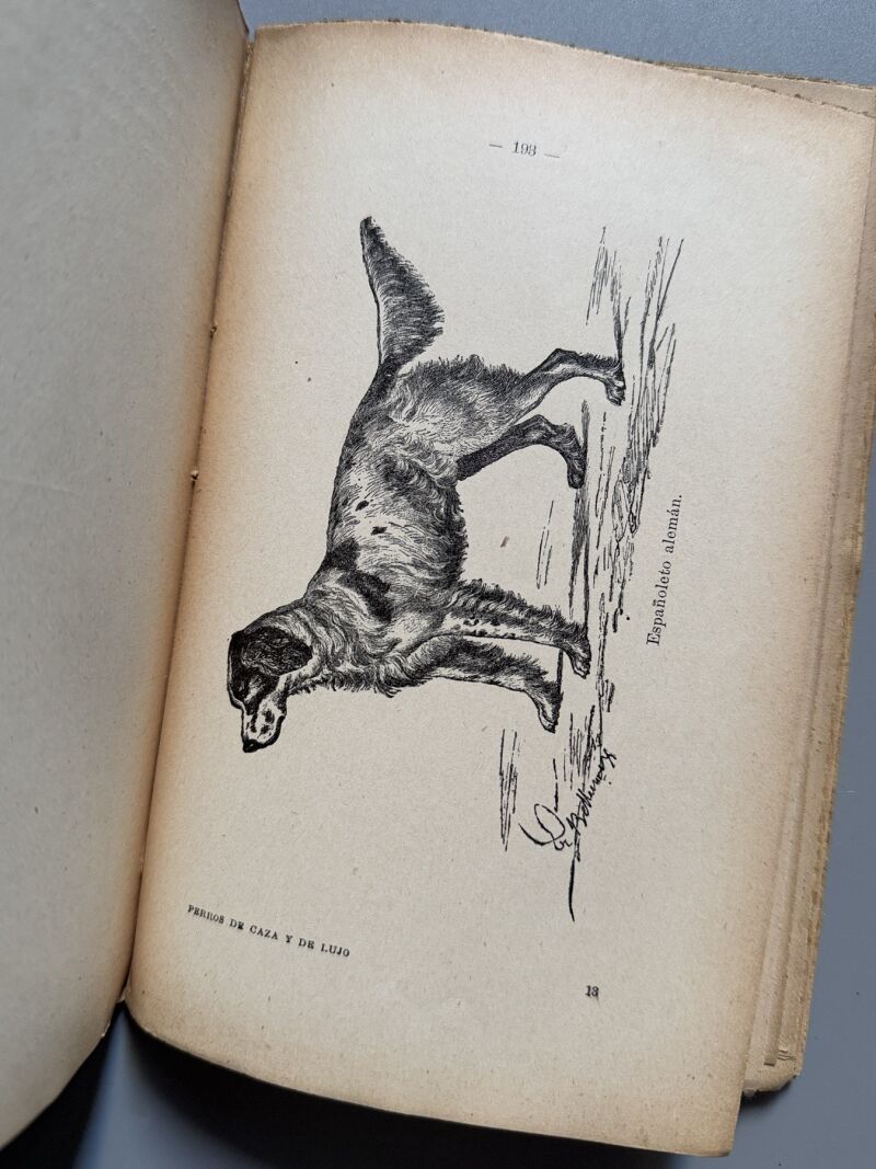 Manual práctico del aficionado a los perros de caza y de lujo, Ramón Pellico - Hijos de Cuesta, 1910