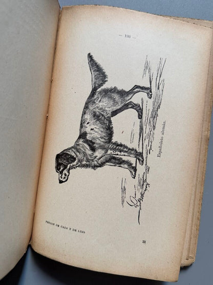 Manual práctico del aficionado a los perros de caza y de lujo, Ramón Pellico - Hijos de Cuesta, 1910