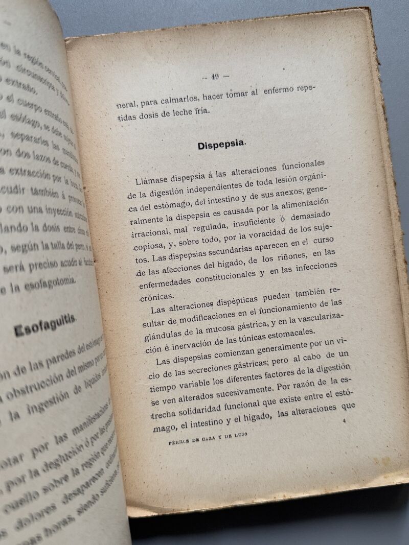 Manual práctico del aficionado a los perros de caza y de lujo, Ramón Pellico - Hijos de Cuesta, 1910
