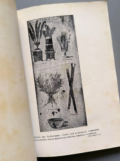 Impresiones policiacas. El delito y los delincuentes, Fidel Aragón, Arturo Nespereira - Habana, 1913