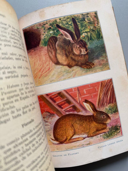 El conejo. Explotación productiva, Wan Dober - Casa Editorial Araluce, 1929