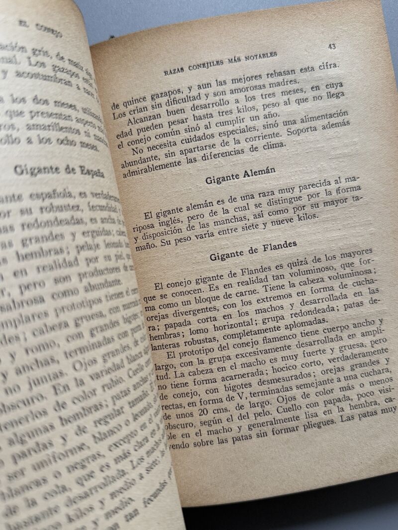 El conejo. Explotación productiva, Wan Dober - Casa Editorial Araluce, 1929