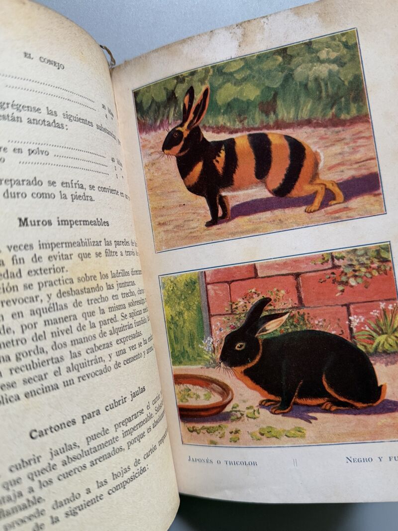 El conejo. Explotación productiva, Wan Dober - Casa Editorial Araluce, 1929