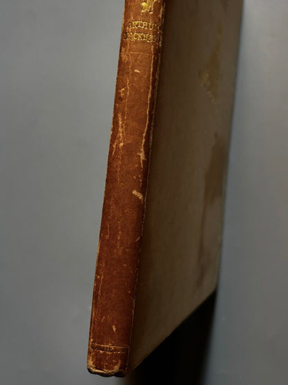 Cendrillon, Perrault. Arthur Rackham (nº 61 de 500) - Libraire Hachette, ca. 1919