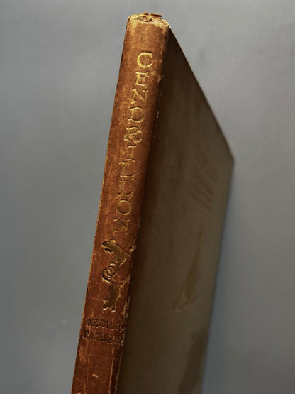 Cendrillon, Perrault. Arthur Rackham (nº 61 de 500) - Libraire Hachette, ca. 1919