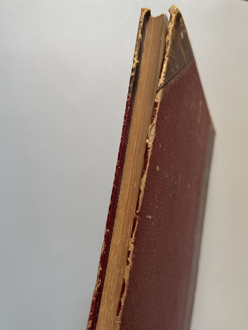 Guía del peluquero. Historia del peinado, Francisco Barado - José Serra Editor, ca. 1880