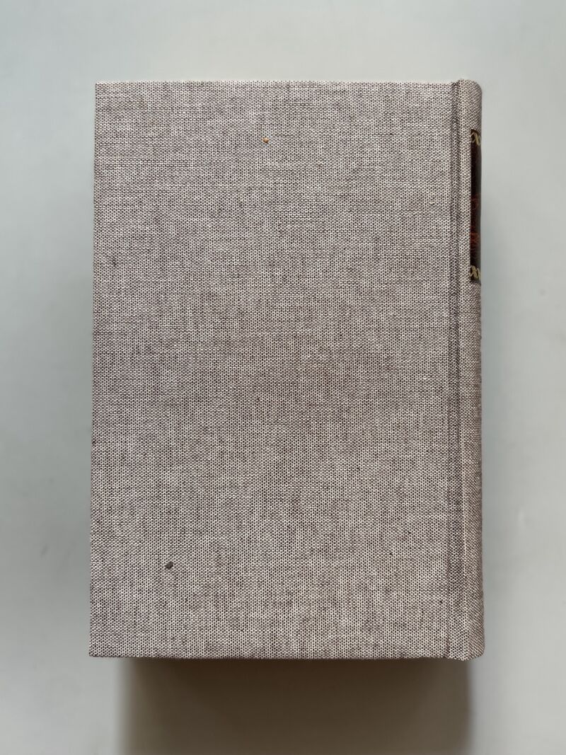 Dombey and son, Chales Dickens - Chapman & Hall, ca. 1870