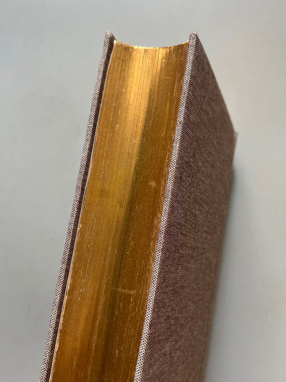 Dombey and son, Chales Dickens - Chapman & Hall, ca. 1870