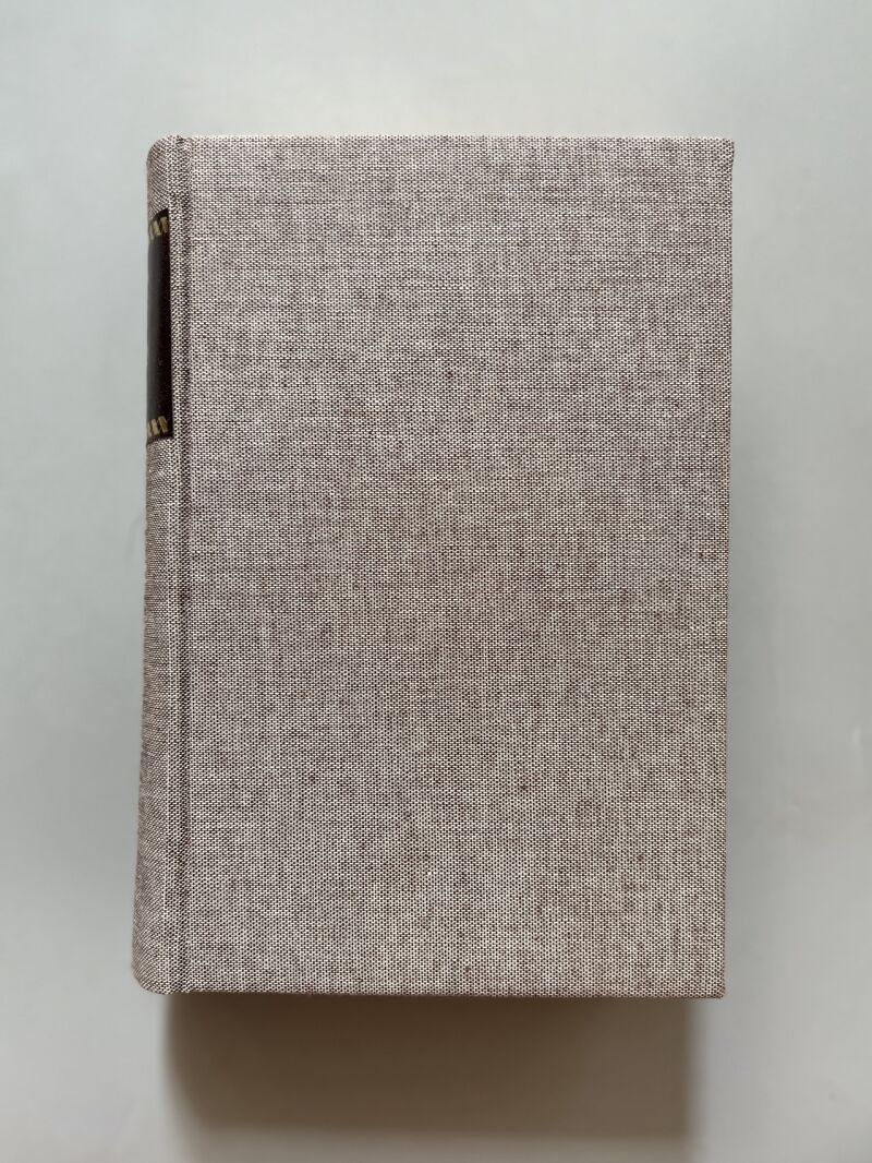 Dombey and son, Chales Dickens - Chapman & Hall, ca. 1870