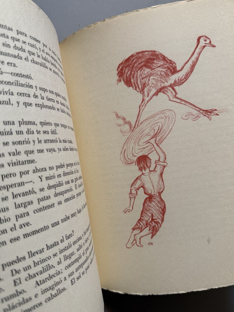 El volcán y el potro de Coipúe, Margarita de Pedroso (firmado) - Ed. de Cultura Hispánica, 1951